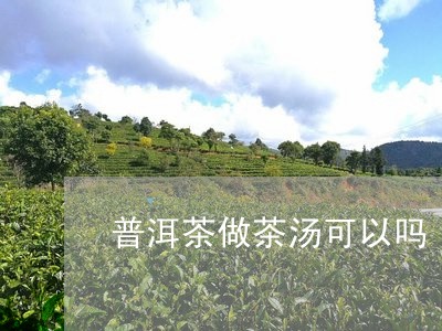 普洱茶做茶汤可以吗/2023082961513