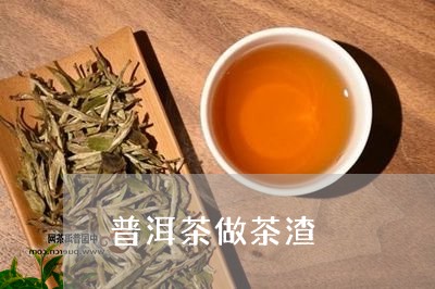 普洱茶做茶渣/2023042849291