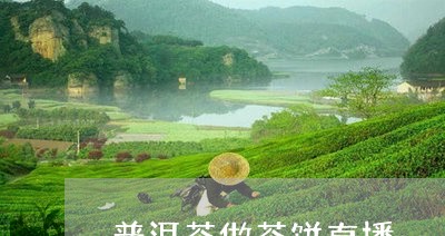 普洱茶做茶饼直播/2023112614836