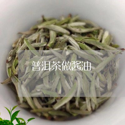 普洱茶做酱油/2023042828470