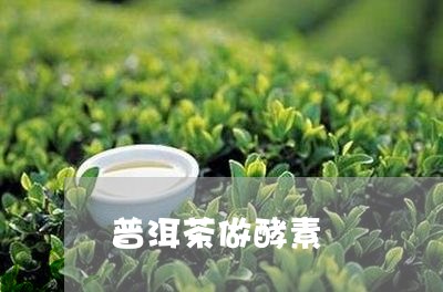 普洱茶做酵素/2023042827672