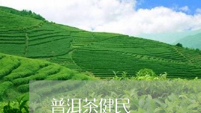 普洱茶健民/2023090571825