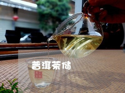 普洱茶储/2023110871715