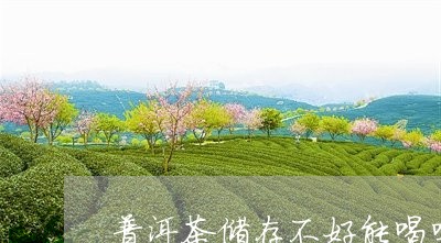 普洱茶储存不好能喝吗百度/2023112436050