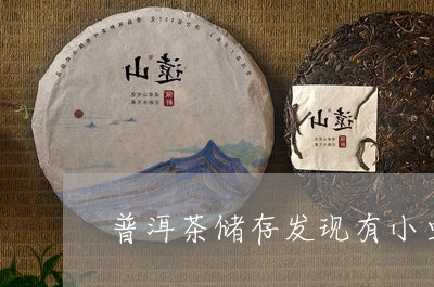 普洱茶储存发现有小虫/2023092803422