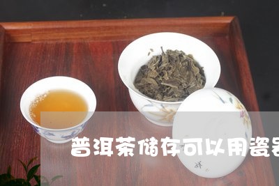 普洱茶储存可以用瓷器吗/2023110633926