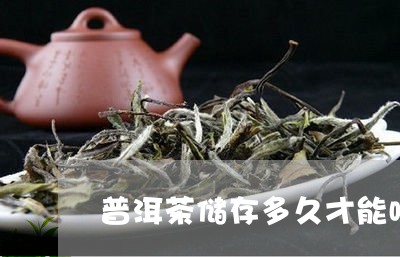 普洱茶储存多久才能喝茶/2023082937251