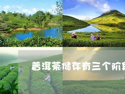 普洱茶储存有三个阶段/2023093038148