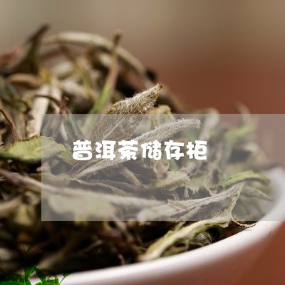 普洱茶储存柜/2023042901839