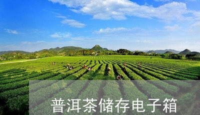 普洱茶储存电子箱/2023120464382