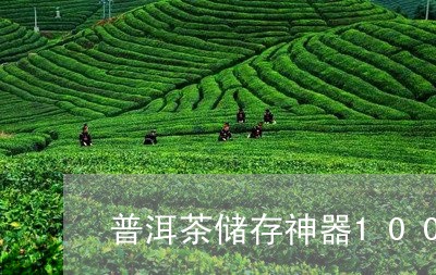 普洱茶储存神器1000克/2023110281604