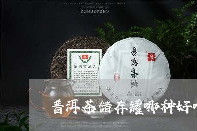 普洱茶储存罐哪种好喝点/2023102442795