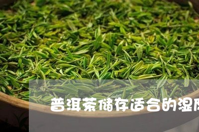 普洱茶储存适合的湿度/2023120687371