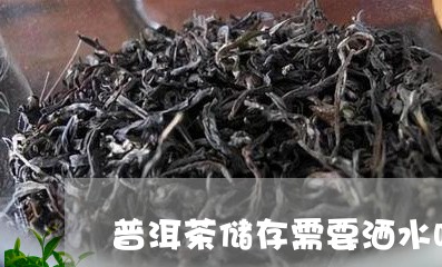 普洱茶储存需要洒水吗/2023100647259