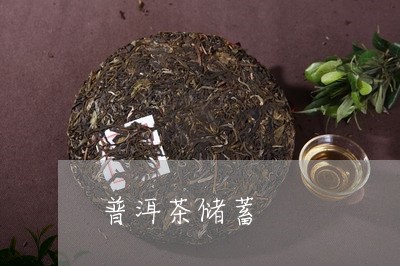 普洱茶储蓄/2023090619715