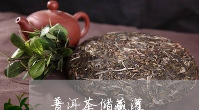 普洱茶储藏灌/2023042601565