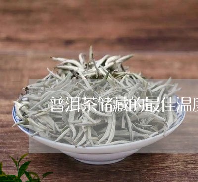 普洱茶储藏的最佳温度/2023100500582