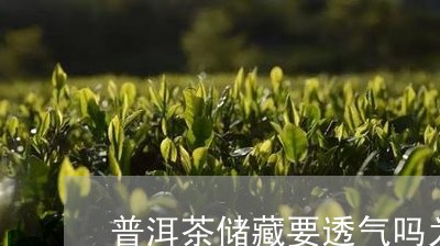 普洱茶储藏要透气吗为什么/2023110472703