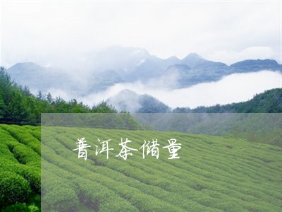 普洱茶储量/2023090504847