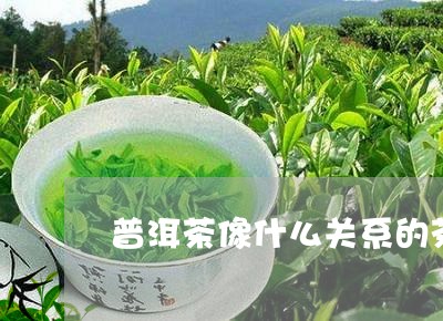 普洱茶像什么关系的茶/2023082974840