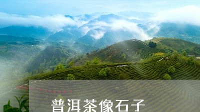 普洱茶像石子/2023042660663