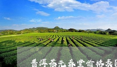 普洱茶元春堂价格表图片/2023112511705