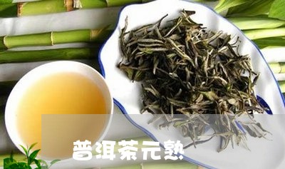 普洱茶元熟/2023112660603