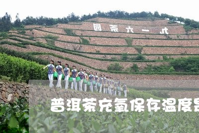 普洱茶充氧保存温度是多少/2023082730825