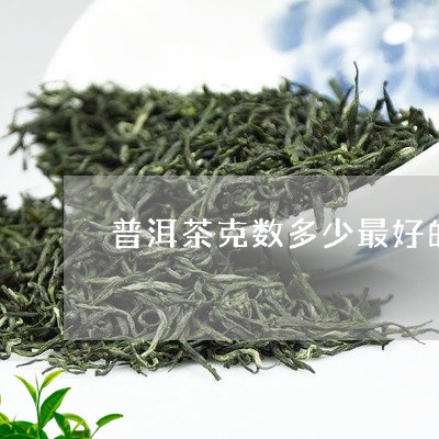 普洱茶克数多少最好的茶/2023121651605