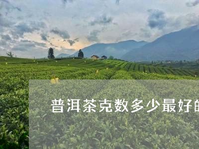 普洱茶克数多少最好的茶叶/2023082980505