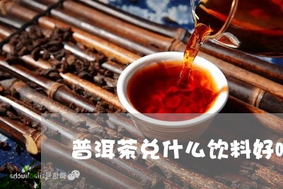 普洱茶兑什么饮料好喝点/2023121611694