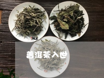 普洱茶入世/2023102538683