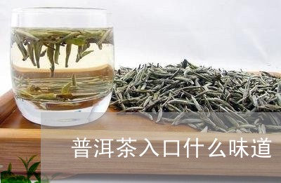 普洱茶入口什么味道/2023091440604