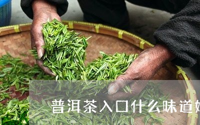 普洱茶入口什么味道好喝/2023121653808