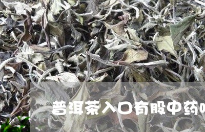 普洱茶入口有股中药味/2023121628372