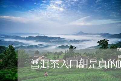 普洱茶入口甜是真的吗/2023062319582