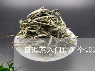 普洱茶入门10个知识/2023100844818