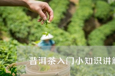 普洱茶入门小知识讲解视频/2023110624037