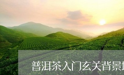 普洱茶入门玄关背景墙/2023092806481