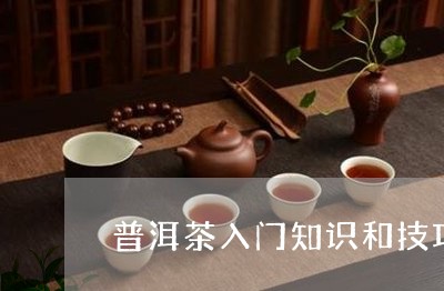 普洱茶入门知识和技巧/2023100748362