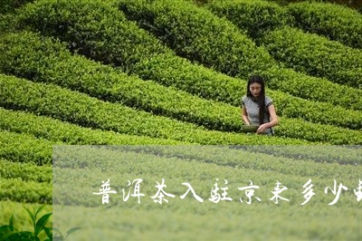 普洱茶入驻京东多少钱/2023093052837