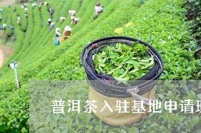 普洱茶入驻基地申请理由/2023121671715