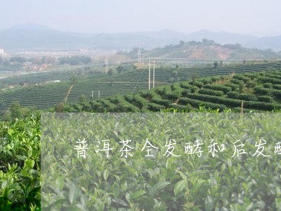 普洱茶全发酵和后发酵区别在哪/2023053041683