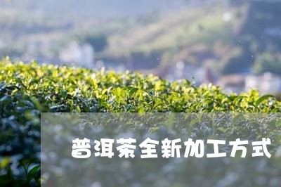 普洱茶全新加工方式/2023120531897