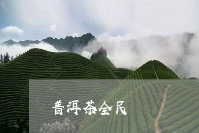 普洱茶全民/2023090696160