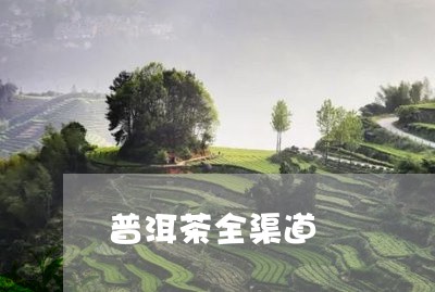 普洱茶全渠道/2023042813058