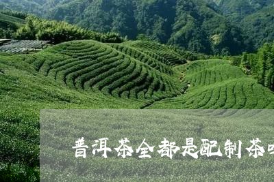 普洱茶全都是配制茶吗/2023062351712