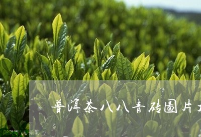 普洱茶八八青砖图片大全/2023121604038