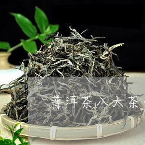 普洱茶八大茶山12年/2023072205946