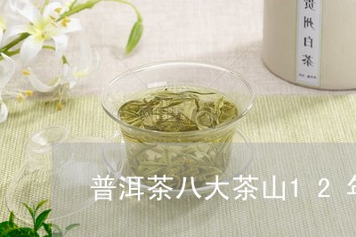 普洱茶八大茶山12年/2023092793935